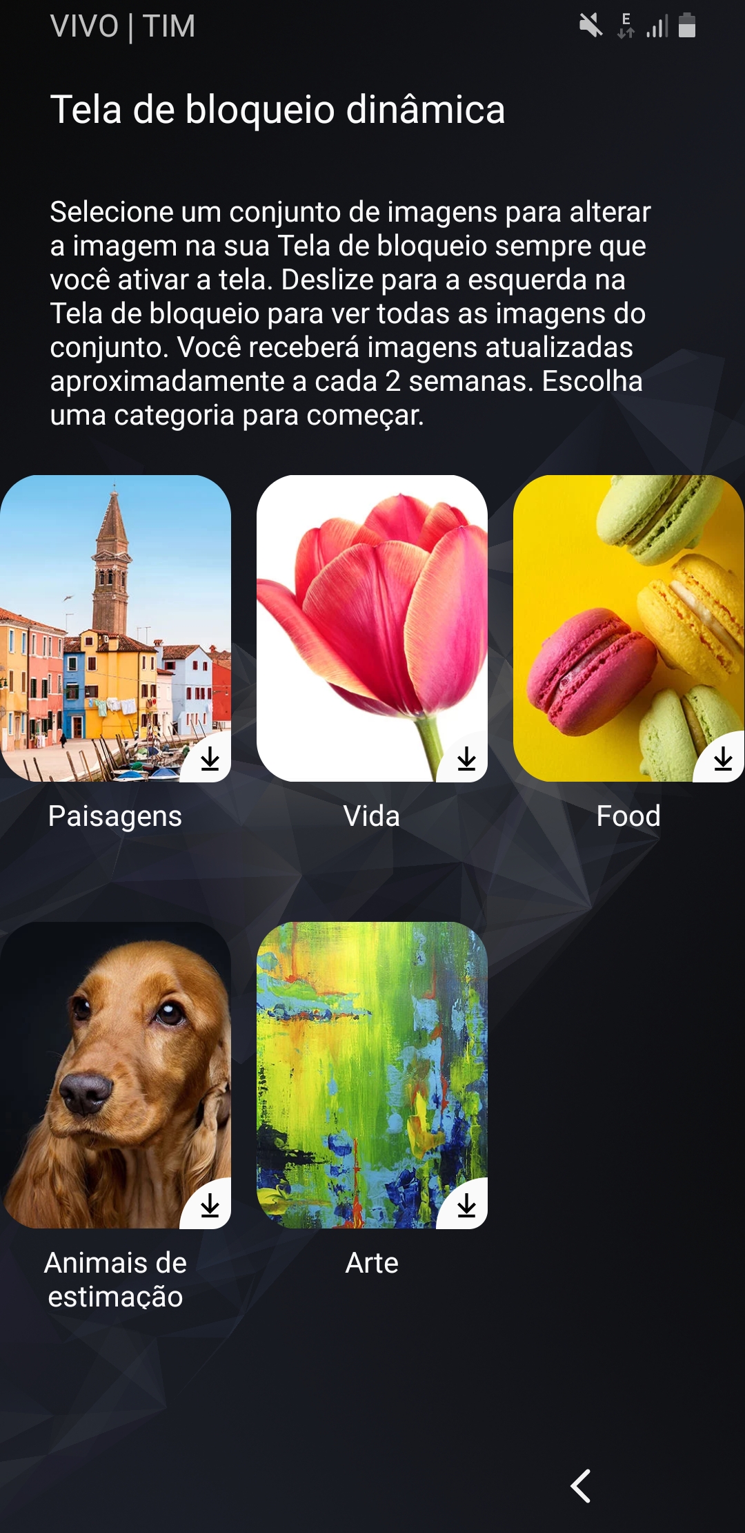 System  Ayon — foto 1